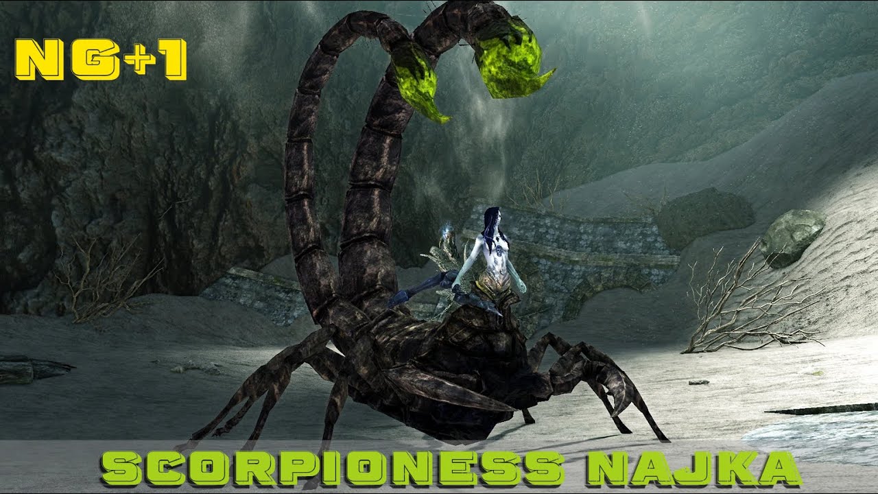 DARK SOULS II: Scorpioness Najka - NG+1