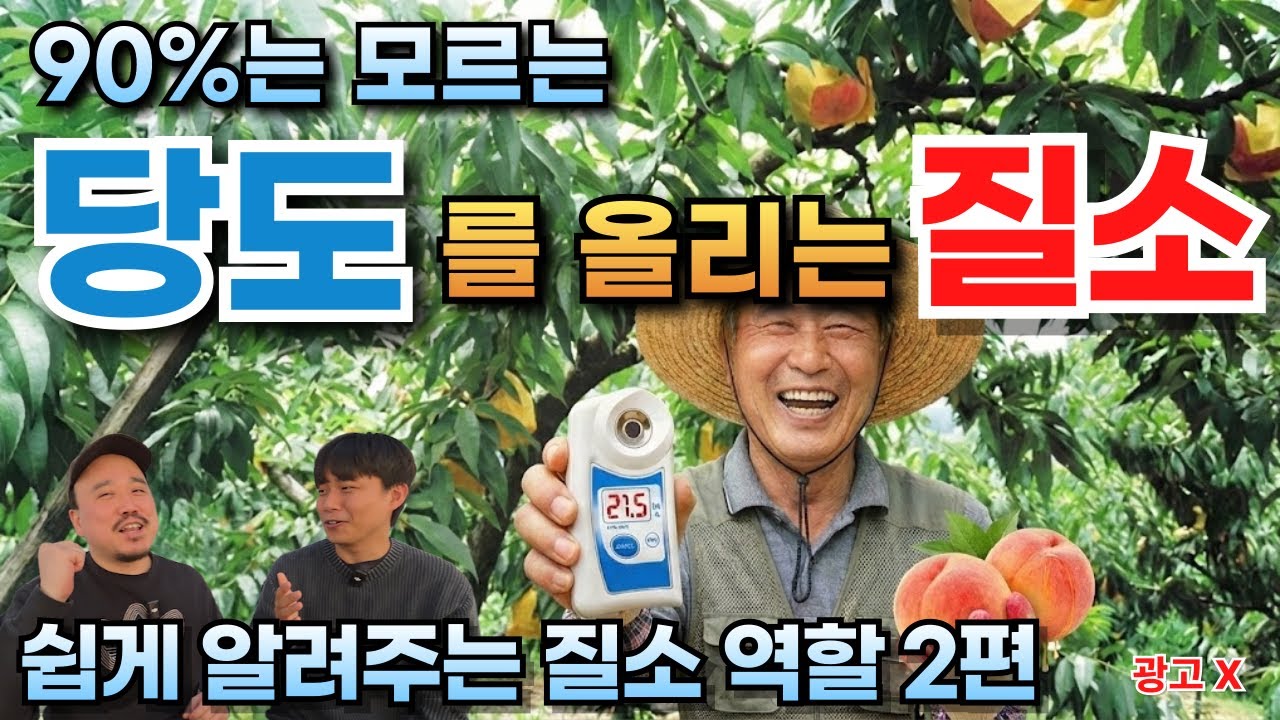 당도 올린다고 질소 끊으셨나요?  90%의 농민이 거꾸로 알고 있는 질소의 역할 | 비료 전문가가 알려주는 질소비료 2편