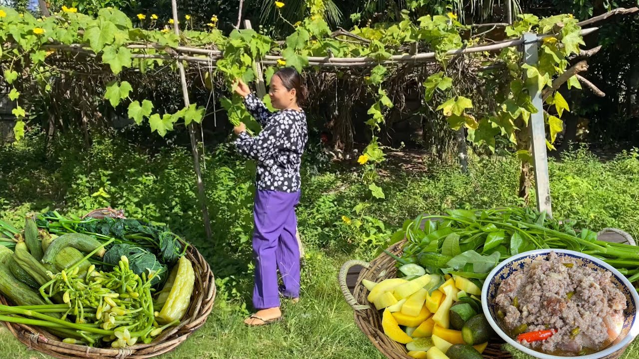 Rural Life in Cambodia | Harvesting Fresh Vegetables  & Cooking with Traditional Khmer Dip(Bro Hok)