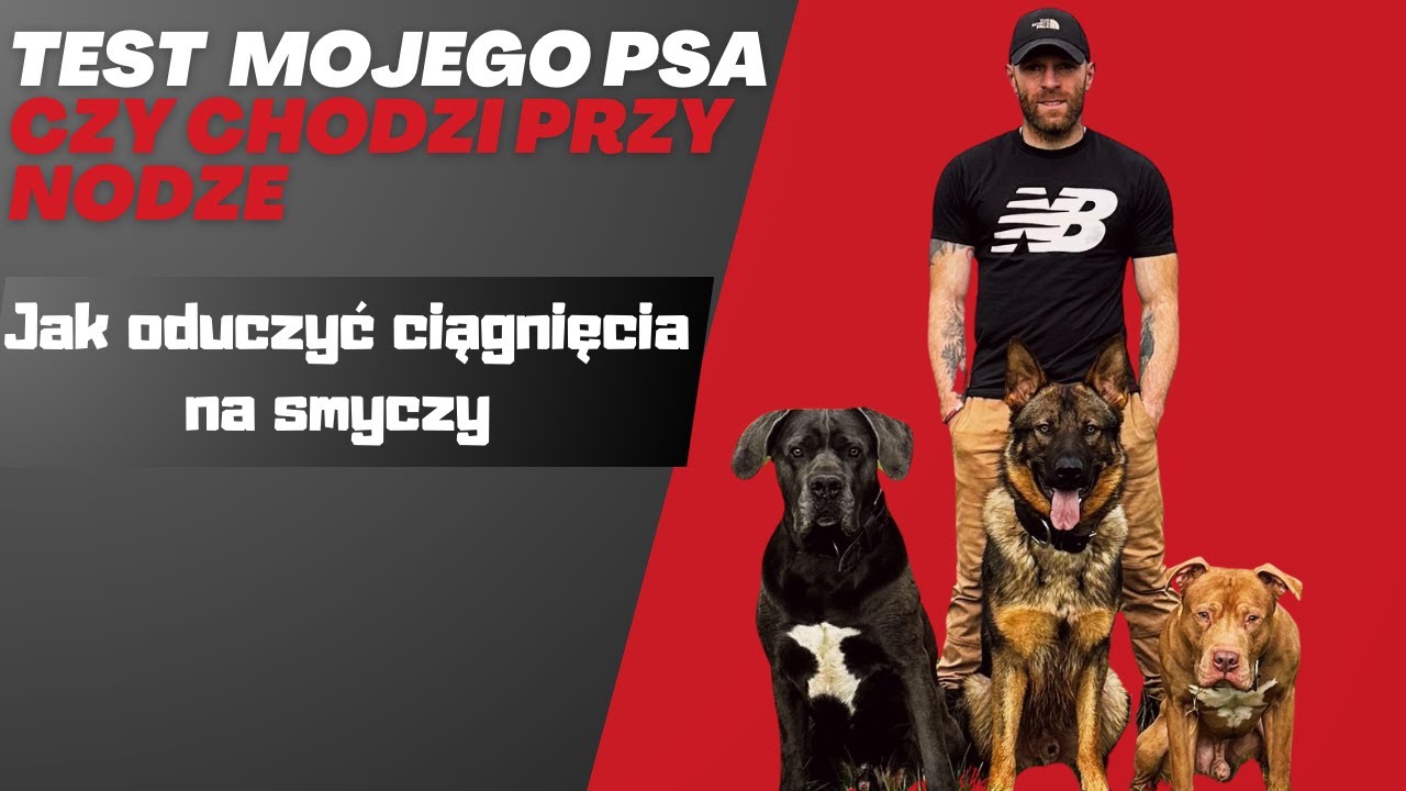 Stop z ciągnięciem na smyczy  - Czemu inne metody są nieskuteczne