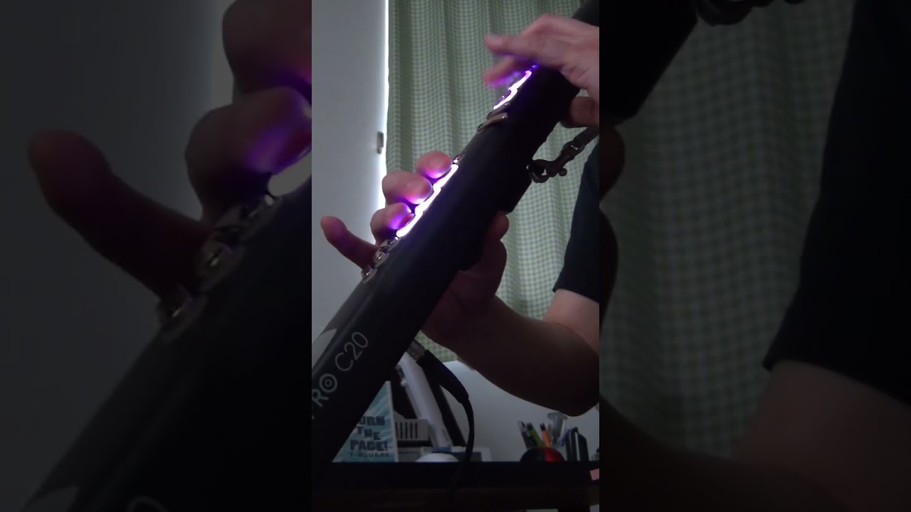 ROBKOO Clarii PRO C20｢蘇州夜曲｣ 音色:ポップ二胡