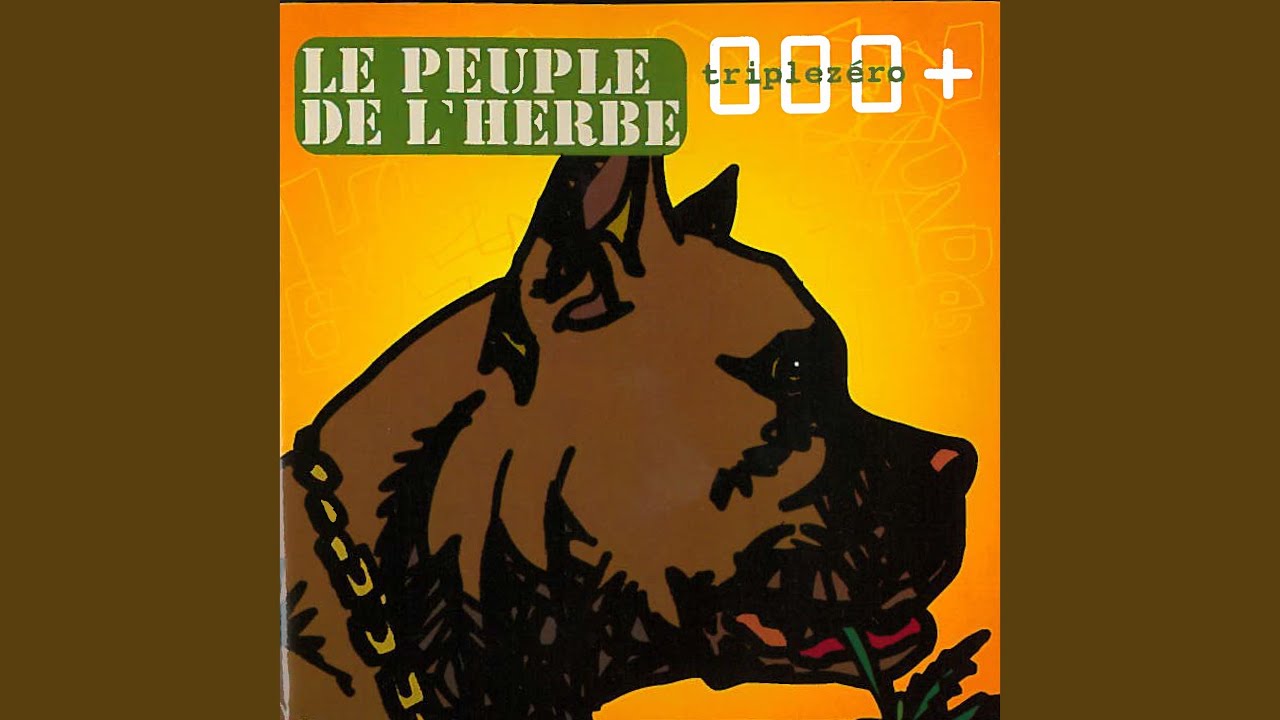 Reggaematic