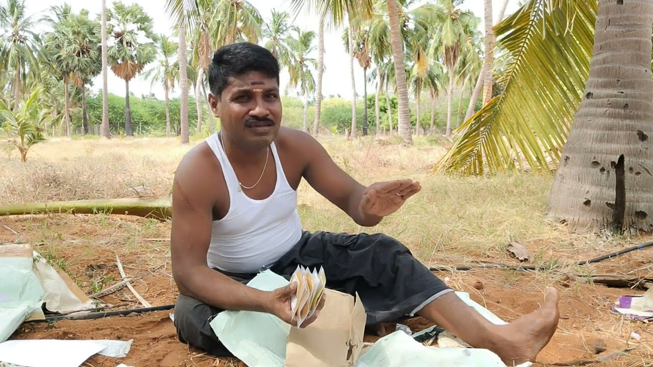 பாம்பு பொம்மையா அனுப்புராங்க | புறா ஆய் அணுப்பிருக்காங்க |
