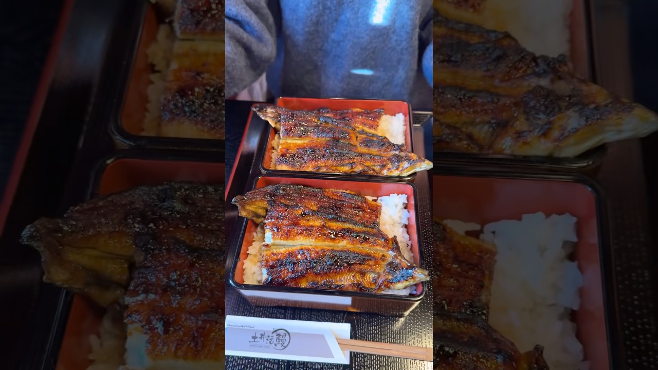 秘伝のタレで鰻を丸ごと一匹焼いた鰻重！炭火の香ばしさが最高すぎた【土井活鰻：京都】