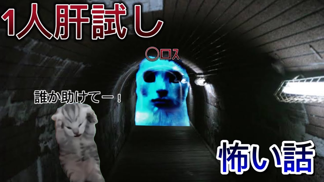 【ホラー猫ミーム】1人で肝試しに行ってしまった猫の末路…#猫ミーム #怖い話