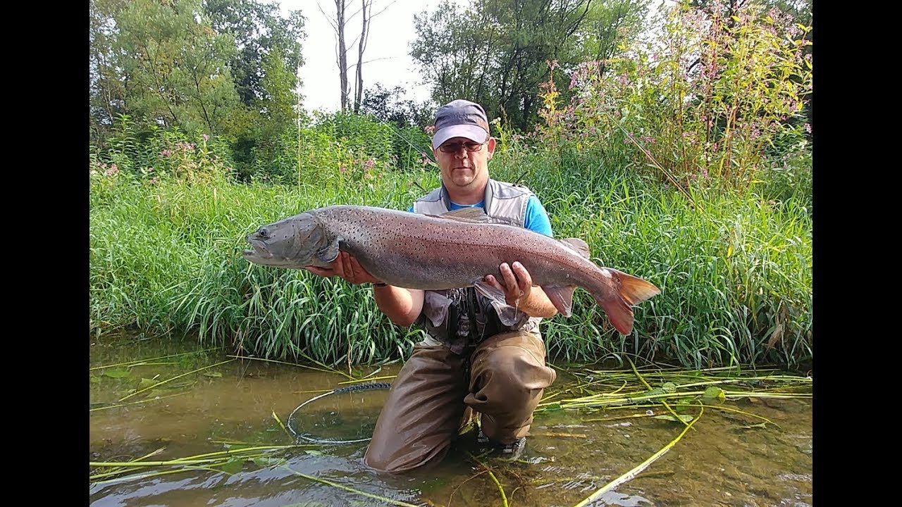 25.08.18 Głowacica 98cm