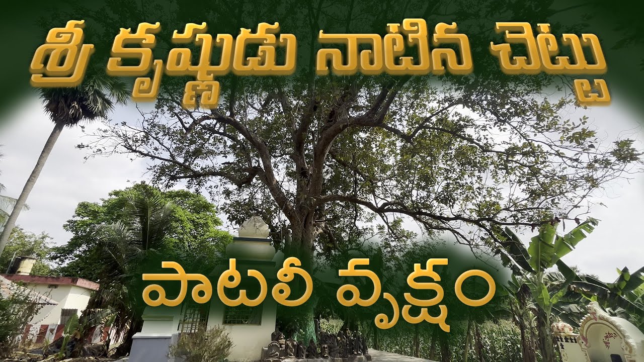 నరకాసుర వధ జరిగిన గ్రామం- నడకుదురు - Nadakuduru temple travel vlog