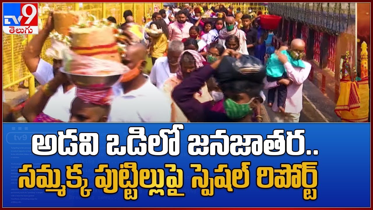 Medaram Jatara 2022 : అడవి ఒడిలో జనజాతర.. సమ్మక్క పుట్టిల్లుపై స్పెషల్‌ రిపోర్ట్‌ - TV9