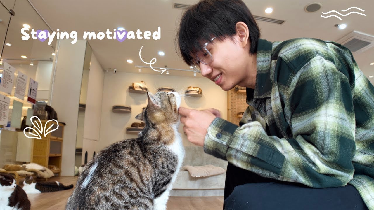 staying motivated | cutest cat cafe in Chiangmai, chilling, thrifting