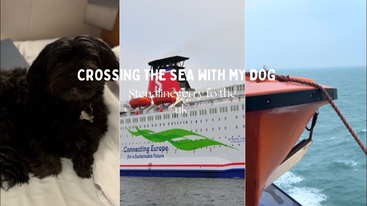 Crossing the Sea with my dog to go to UK ( stenaline ferry)