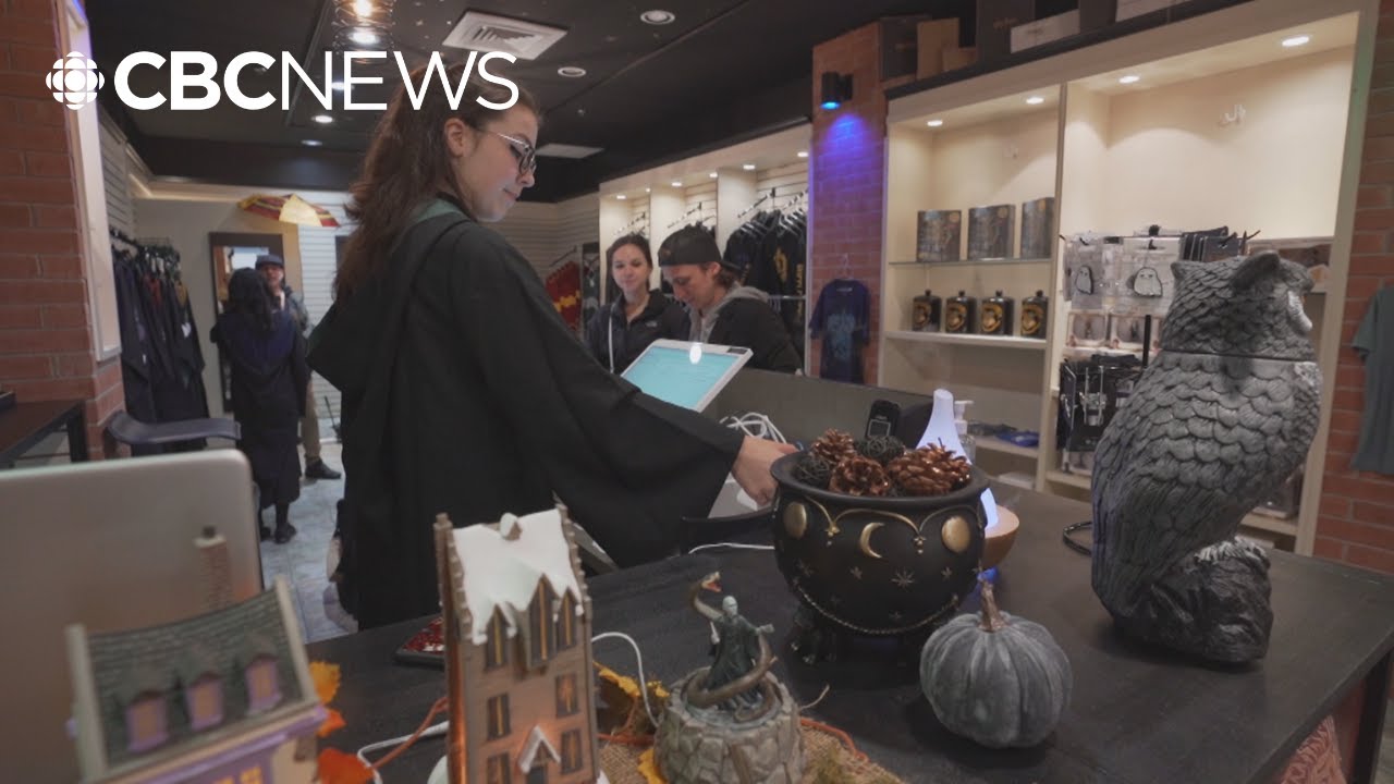 Harry Potter Forbidden Forest Experience criticized for high admission costs