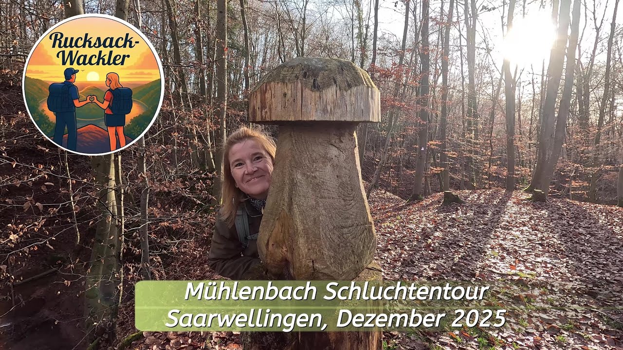 (Ex)Traumschleife Mühlenbach Schluchtentour, Saarwellingen (nicht mehr zu empfehlen)