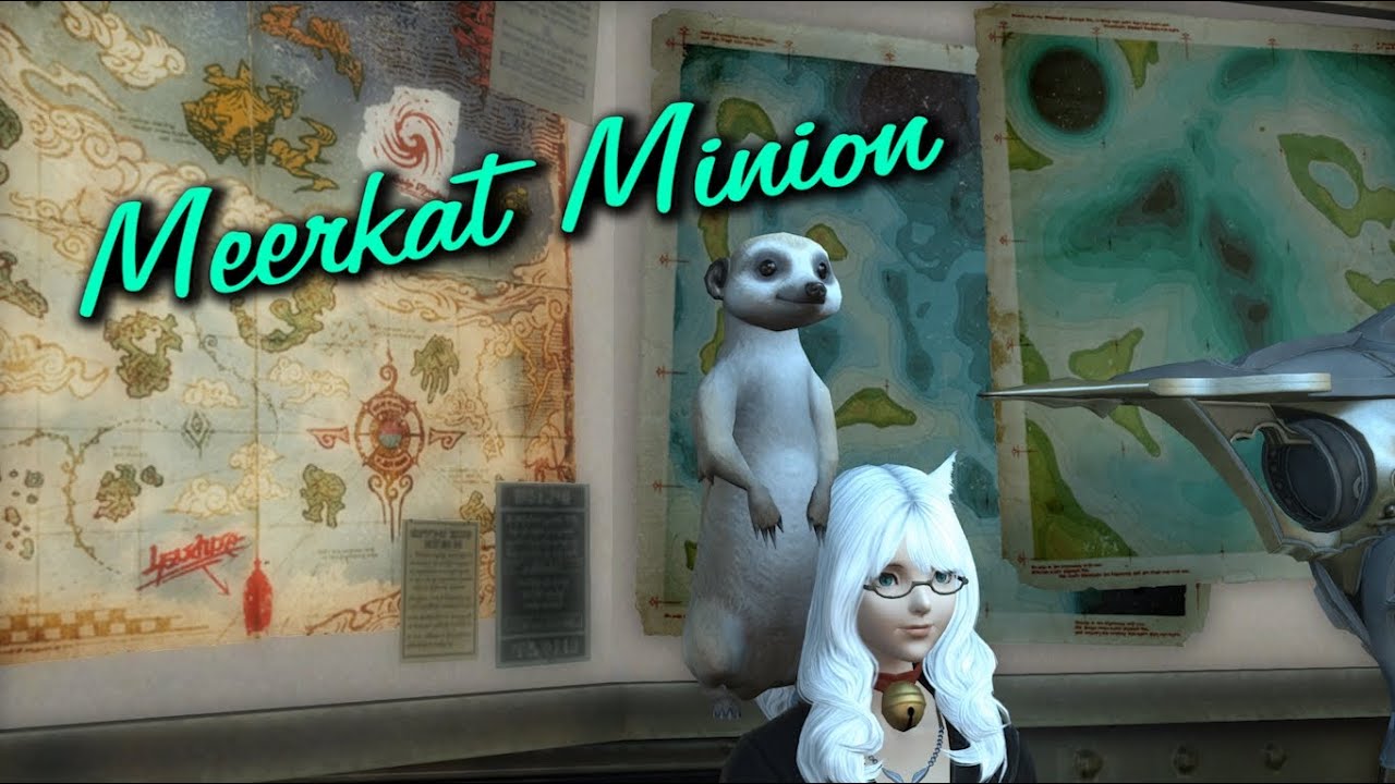 FFXIV: Meerkat Minion