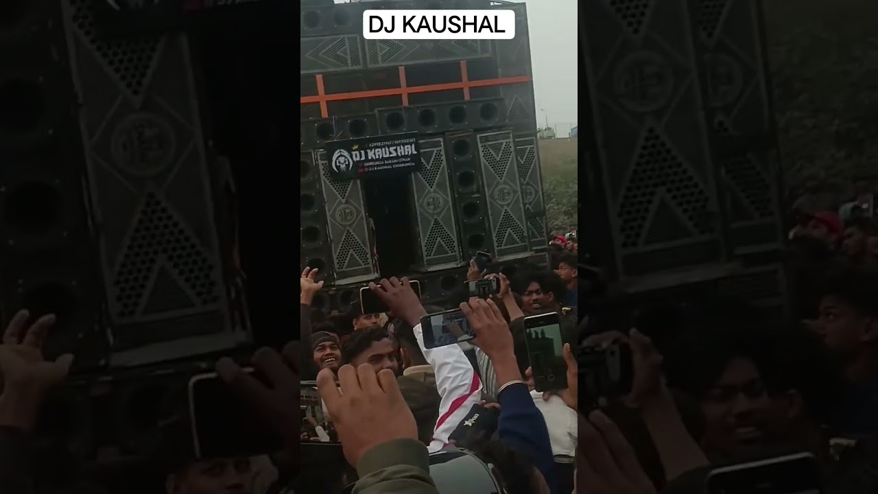 deadly bass shashi 