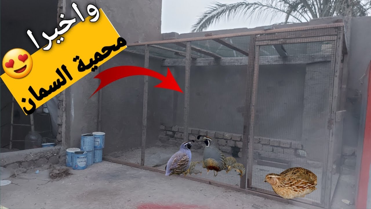 واخيرا كملت محمية السمان 😍😍