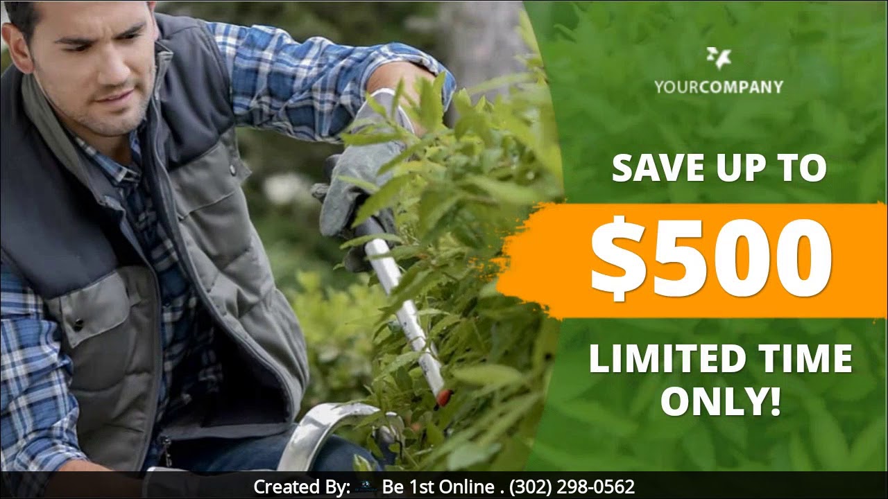 Landscaping Video Ad: Want A Terrific Offer In Wilmington!