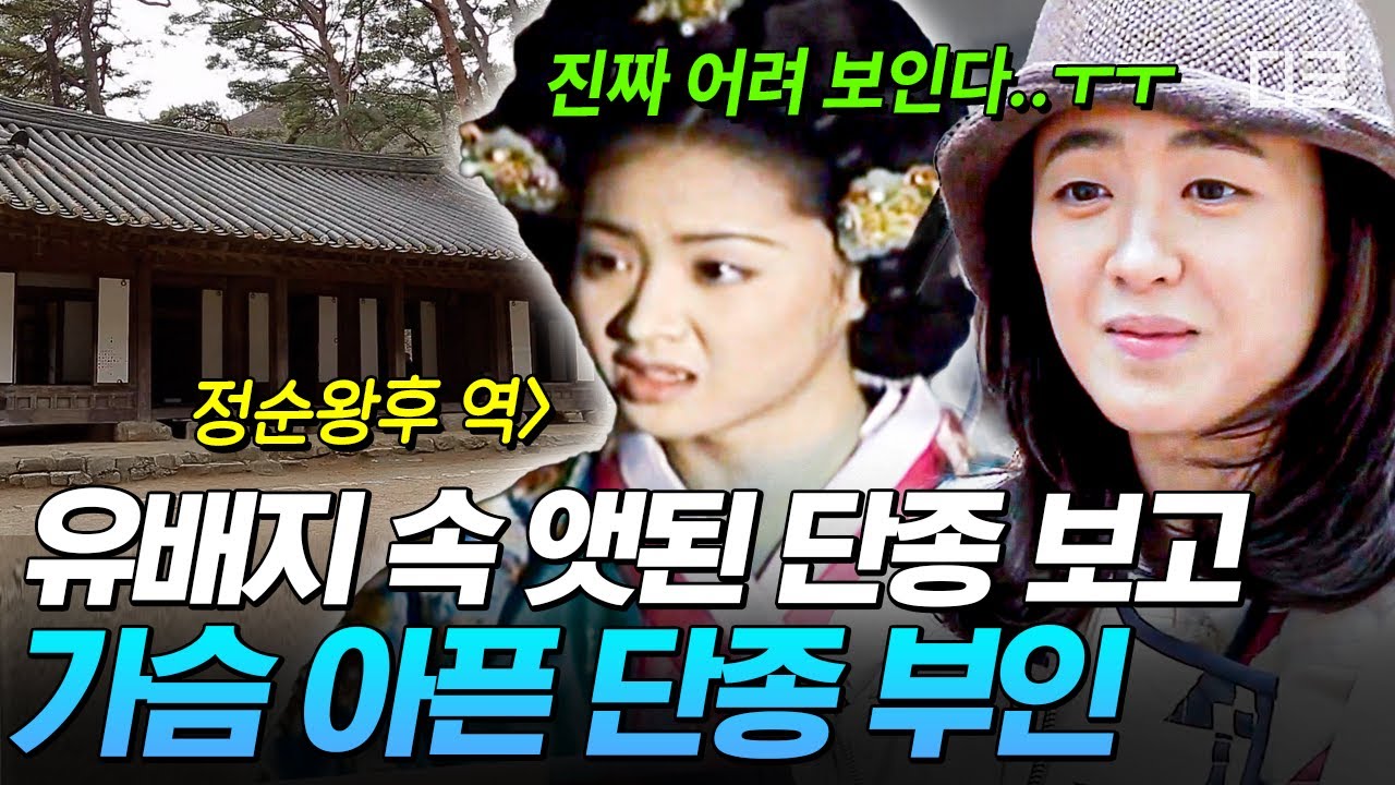 단종 오빠 나 청령포까지 왔어..✨ 보기만 해도 가슴 먹먹해지는 단종의 유배지 둘러보기💧[#달팽이호텔]