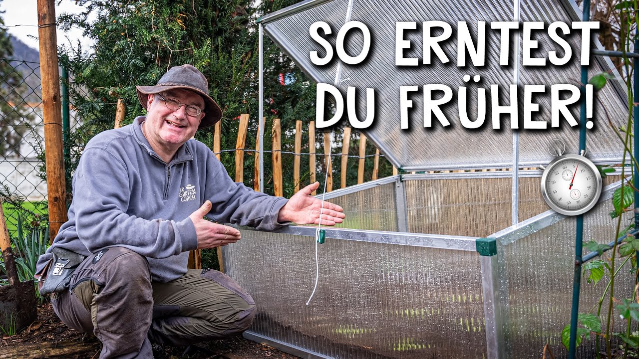 Frühbeet bepflanzen 🥕🥬 - Gemüsesaison verlängern & früher ernten