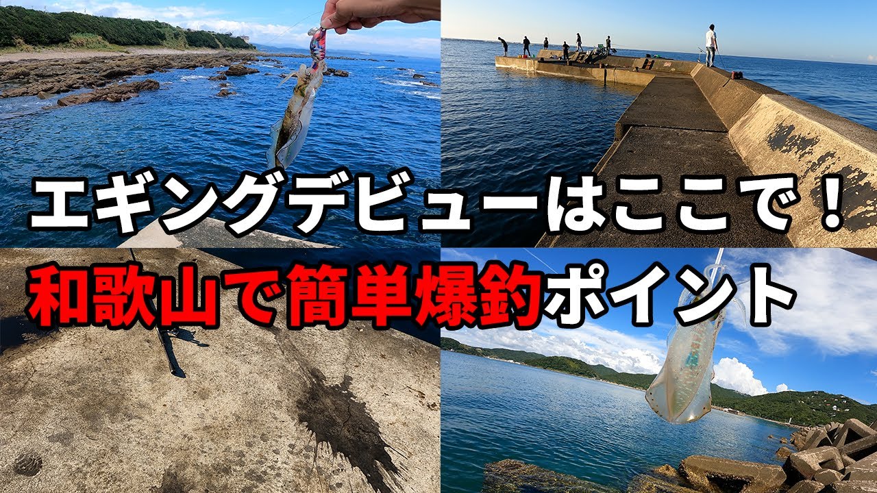 【和歌山エギング】地元民しか知らない！脅威の爆釣穴場4選