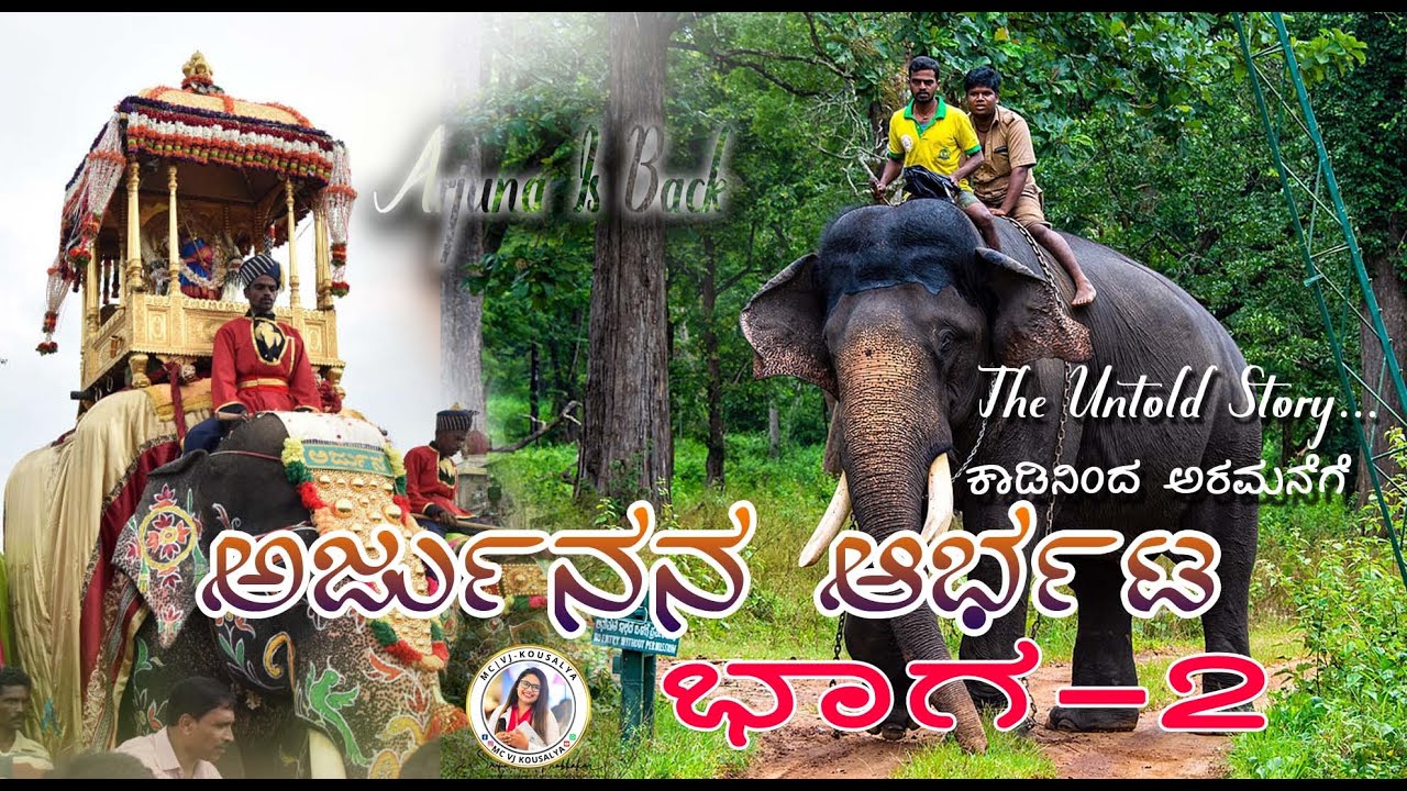 ಅರ್ಜುನನ ಅರ್ಭಟ ಭಾಗ-2 ನೈಜ ಕಥೆ Arjuna The Real life story of mysore Dasara senior elephant JambooSavari