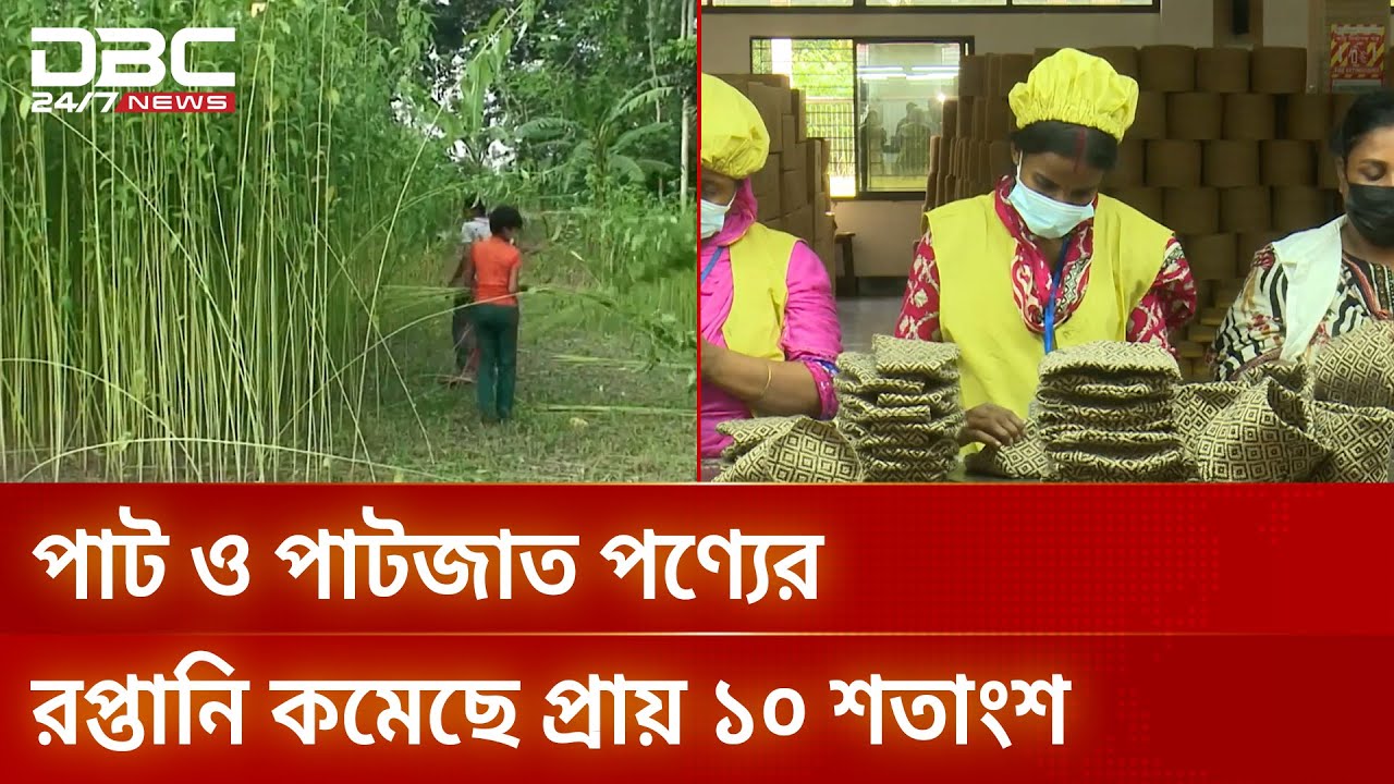 কাঁচাপাটের মূল্যবৃদ্ধি ও বৈচিত্র্যের অভাবে সংকটে পাটশিল্প | Jute Export | Trade Crisis |  DBC NEWS