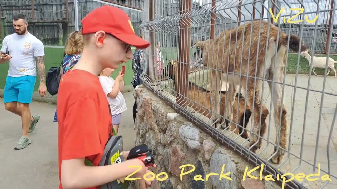 Mini Zoo Klaipeda/Klaipedos mini zoosodas/Мини Зоопарк Клайпеда/ViZu Page & DaZu Cam/video 2023