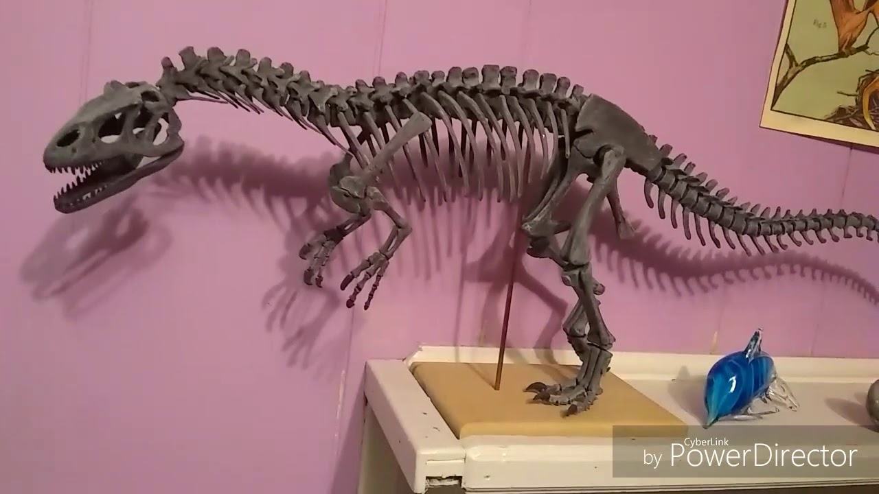My allosaurus collection review