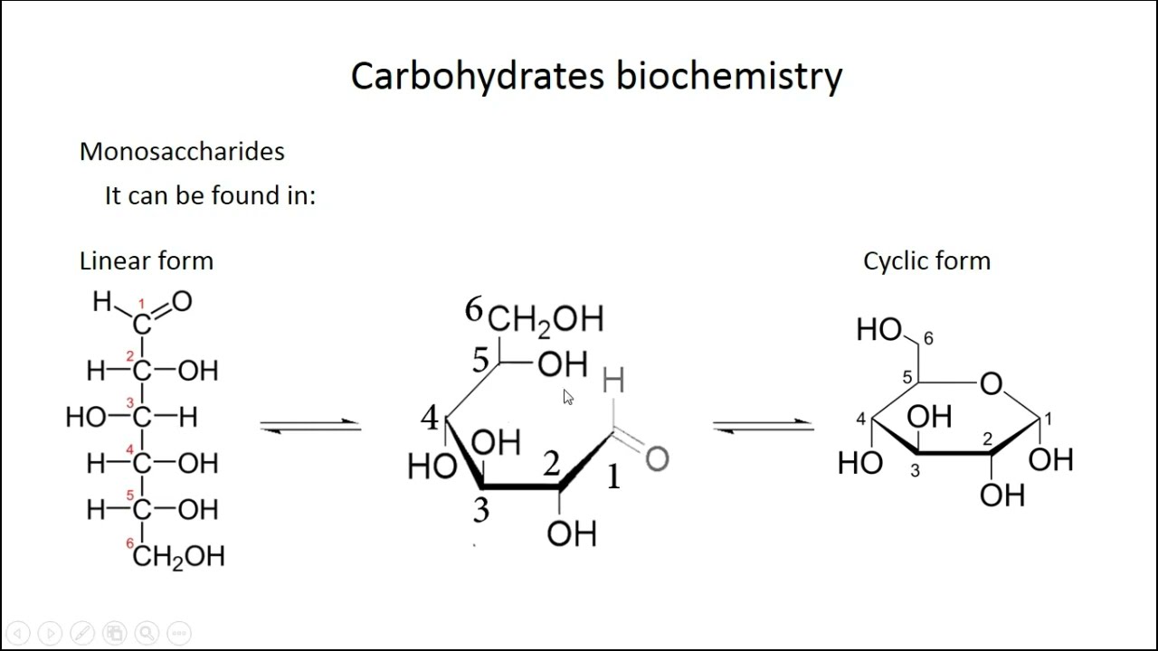 Carbohydrates biochemistry (Made easy)