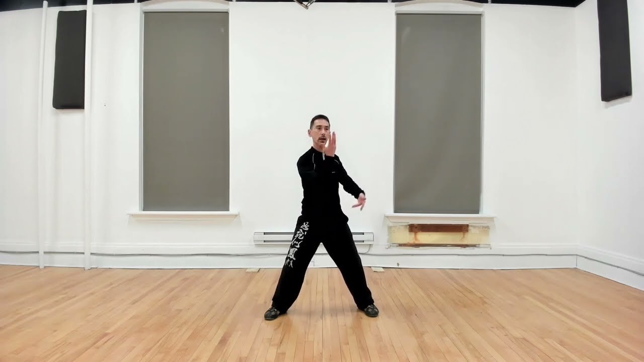 Tai Chi Push Hands Fundamentals: Hand Dynamics