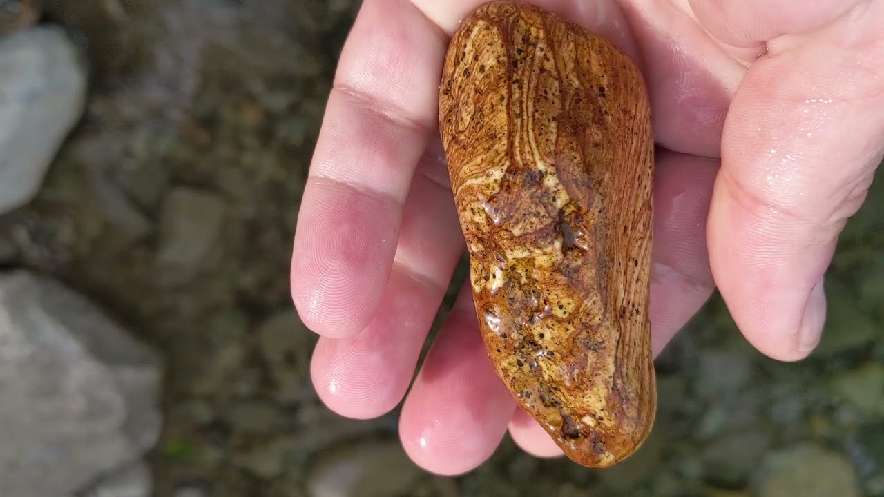 Exploring Miller River For Picture Jasper and Chert - Skykomish, Washington