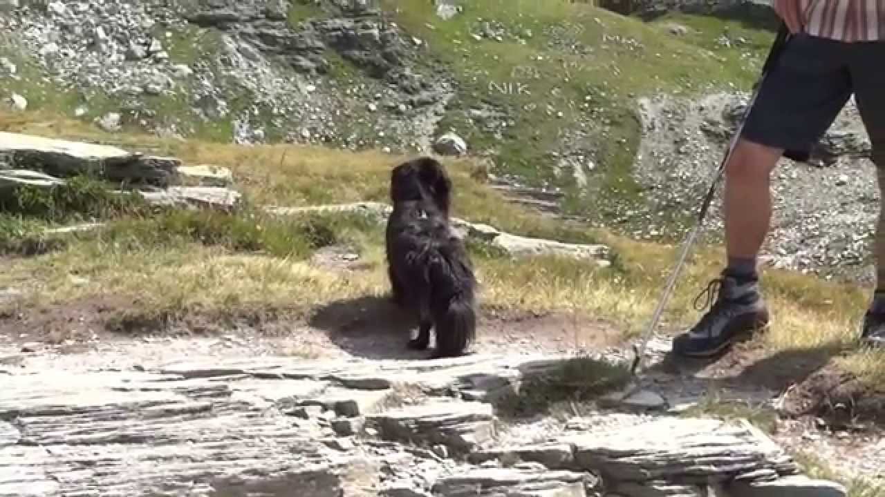 Leglerhütte 2015-08-07