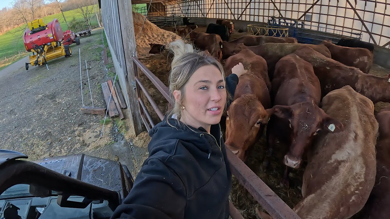 Butcher Run & Pasture Babies