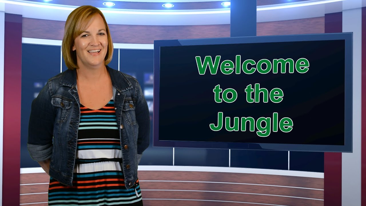 The Granite Zoo News Update