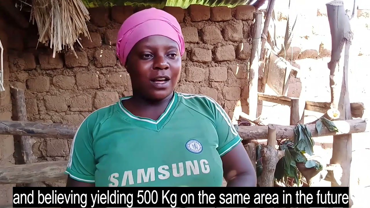 CorpsAfrica/Rwanda-Piggery farming-Success story of the beneficiary.