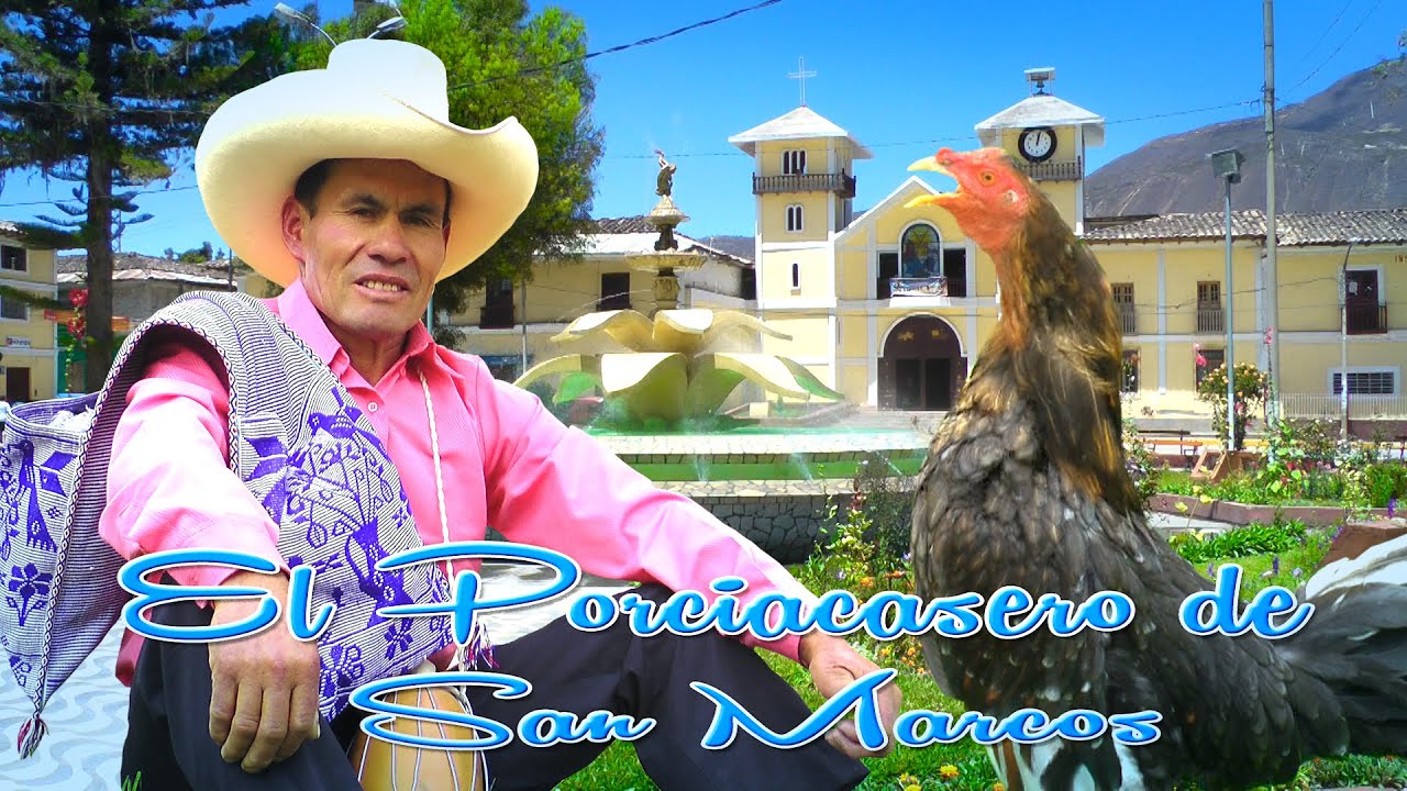 EL PORCIACASERO DE SAN MARCOS-MI GALLO FINO