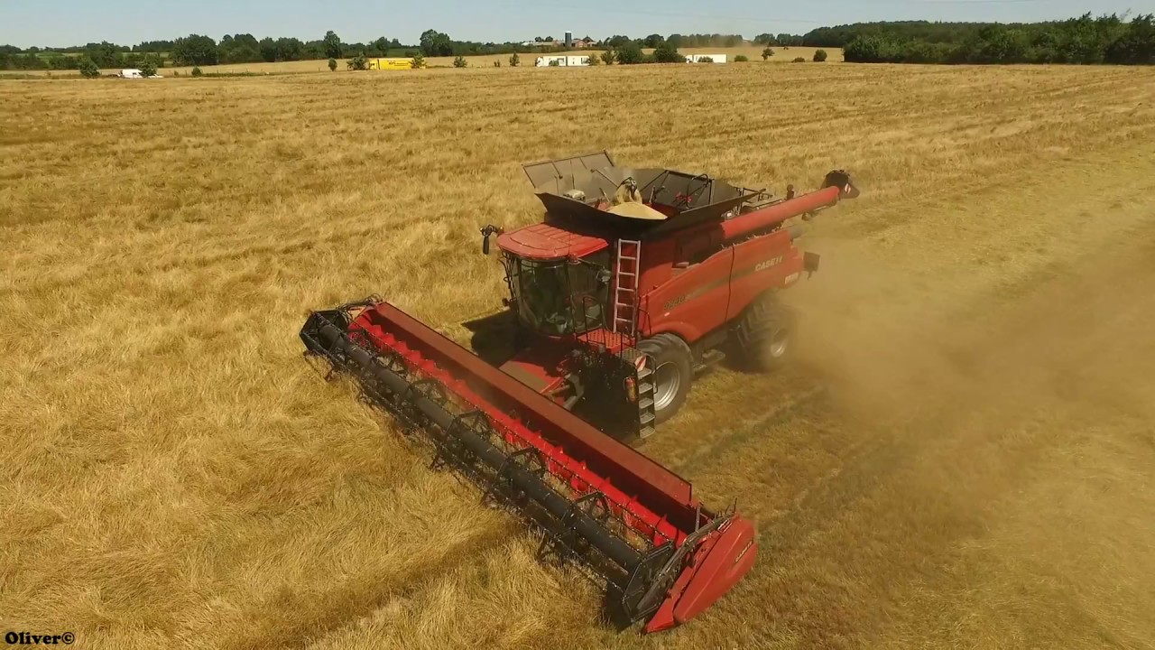 Høst af frøgræs 2018|Case IH Axial Flow 9240|Gamst Maskinstation