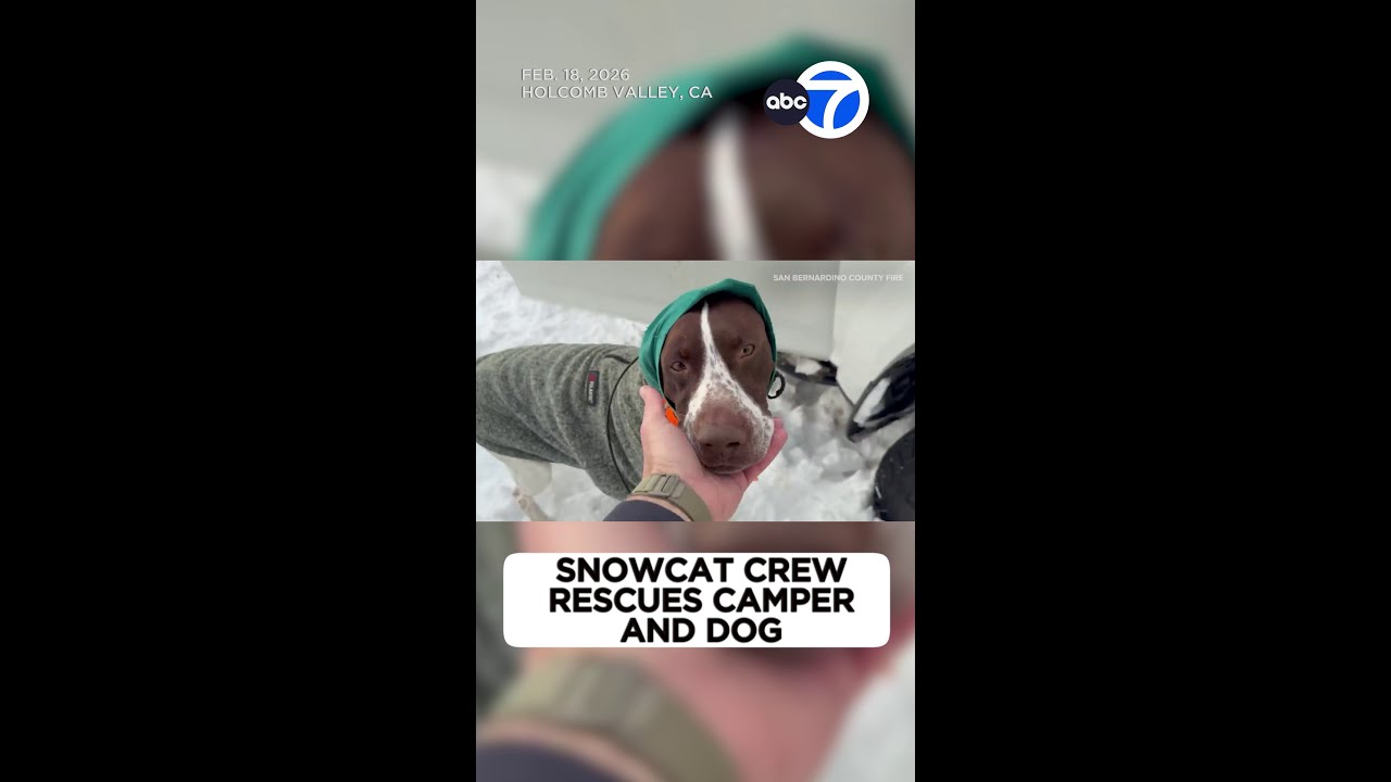Snowcat crew rescues camper and dog