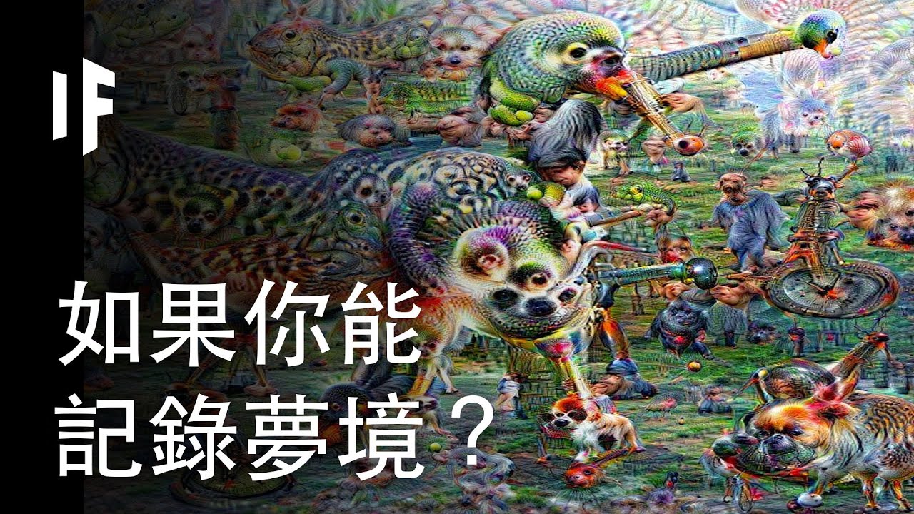 如果你能記錄夢境？| 大膽科學