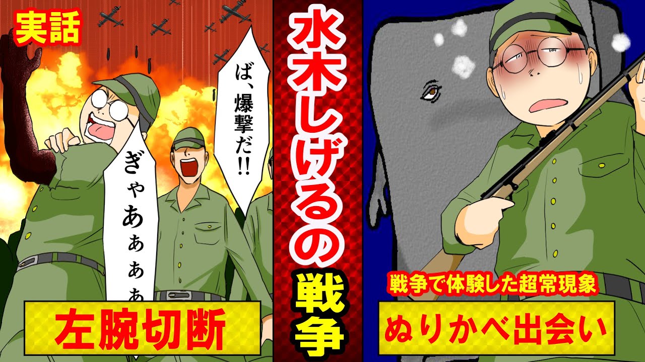 【実話】漫画家・水木しげる。ラバウルに派遣された武良茂さん。過酷な軍隊時代と未知なる体験。（マンガ動画）