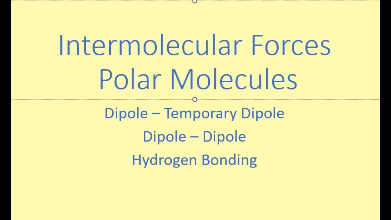 Intermolecular Forces Polar Molecules