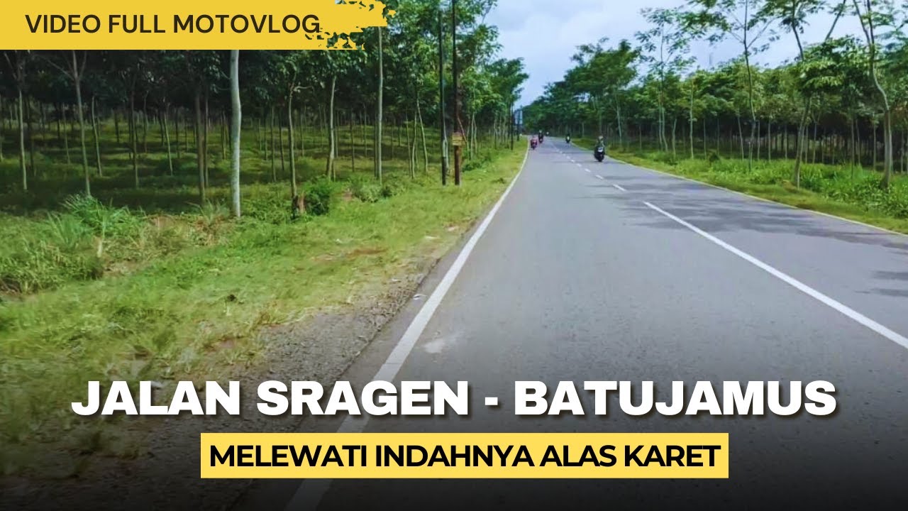 Indahnya Jalan Sragen Batu Jamus Melewati Alas Karet