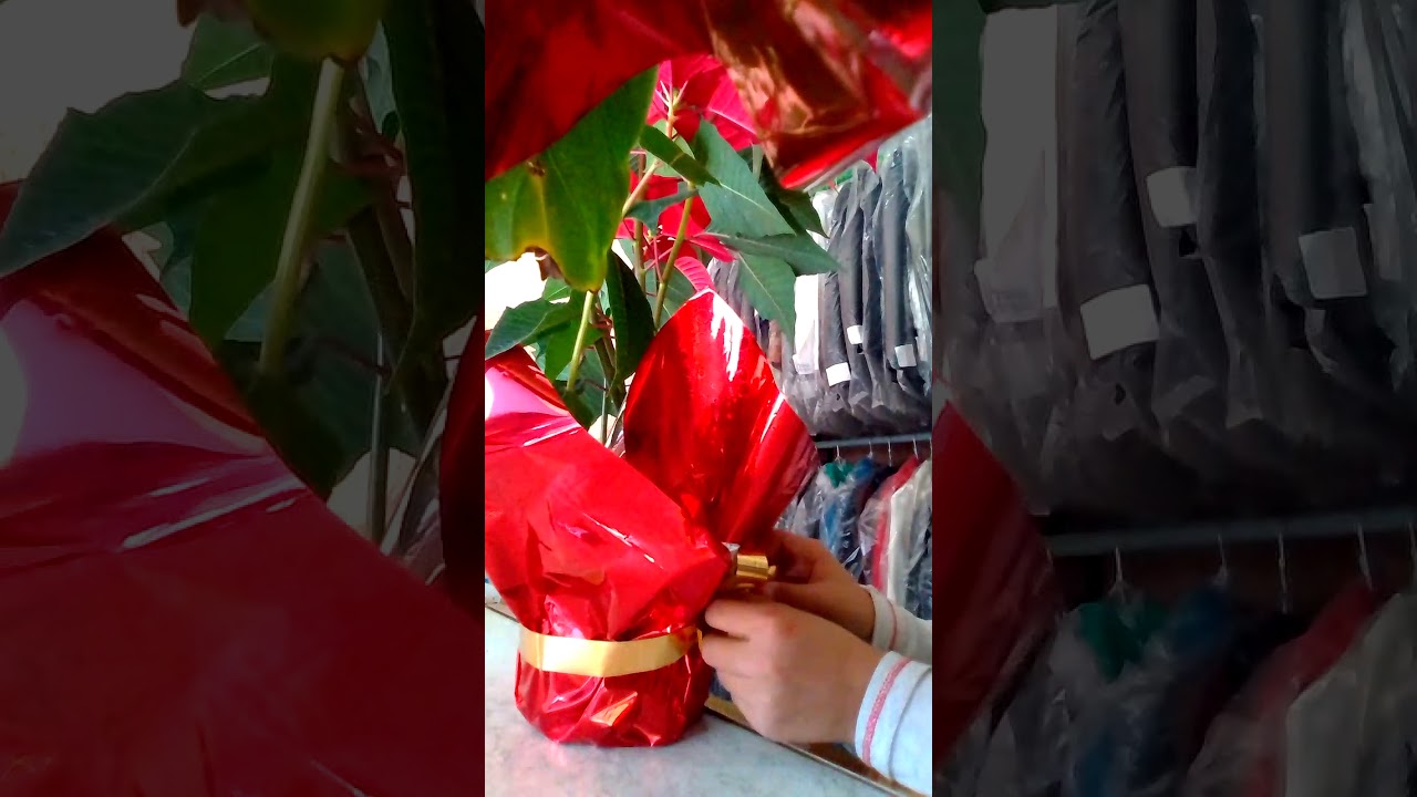 Como adornar una noche buena