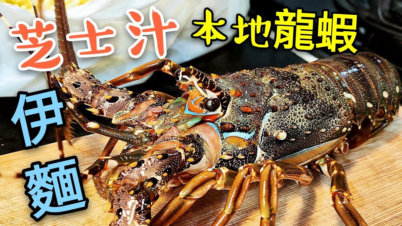 〈 職人吹水〉 生猛龍蝦 芝士汁 燴伊麵 本地生猛龍蝦點樣 選擇 處理 Cheese Lobster Noodle