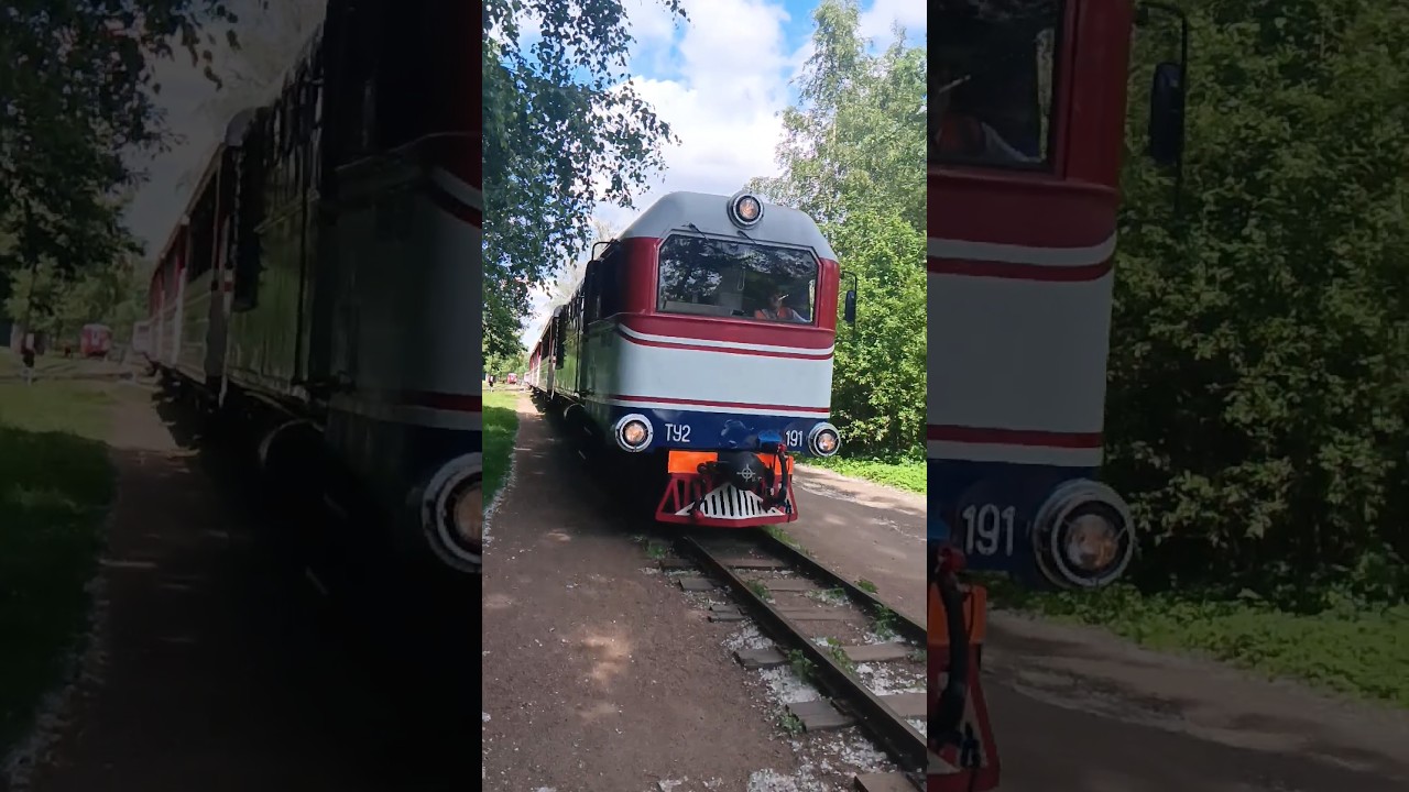 редкий ту2-191 на сев.МОЖД.спасибо за приветствие @VasyaSkrin  | #рек #train #рекомендации #tram