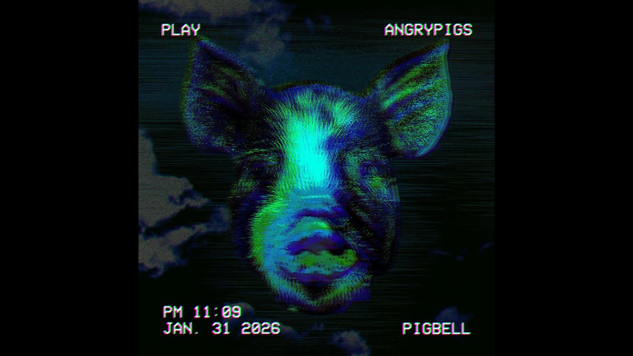 angrypigs - PIGBELL