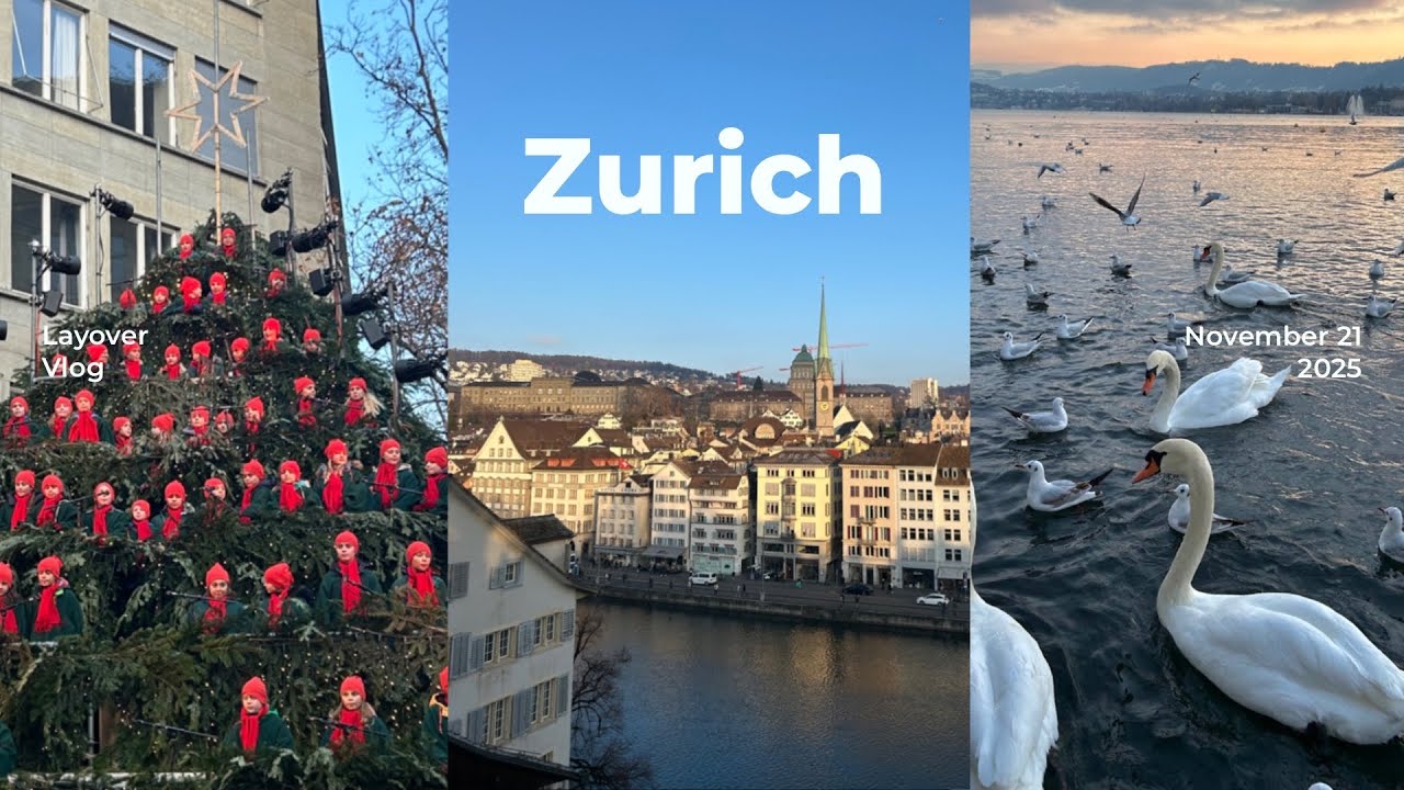 [ステイvlog #5] お金のかからないスイスの過ごし方