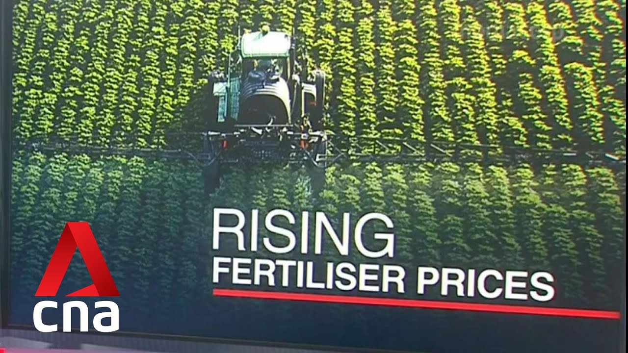Spike in fertiliser prices in EU will contribute to rising food prices for consumers