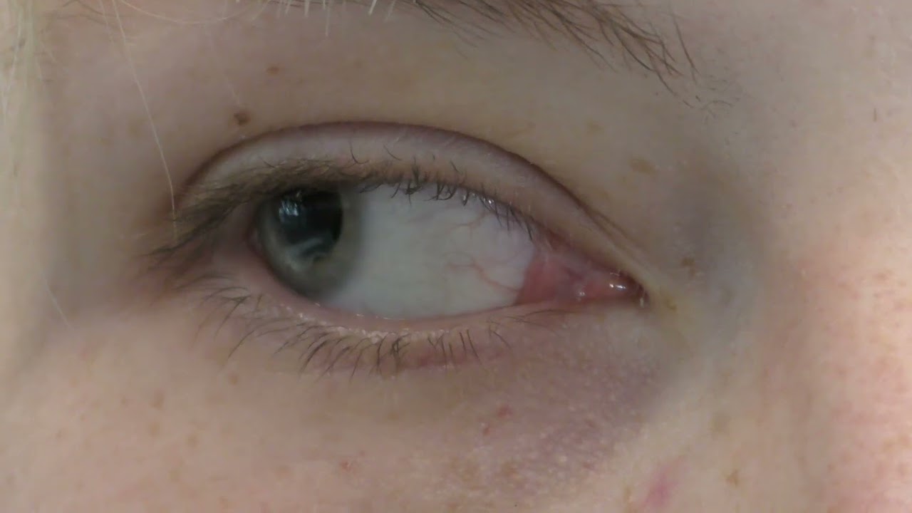 SIGHTLINE 0.1 SCREEN THREE