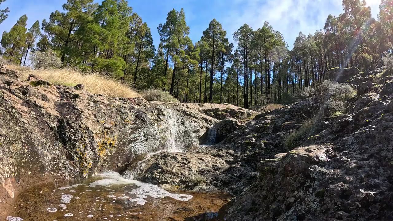 SONIDO de AGUA SUAVE y RELAJANTE Cayendo Corriendo y Fluyendo SIN Música 4K sonidos de la naturaleza
