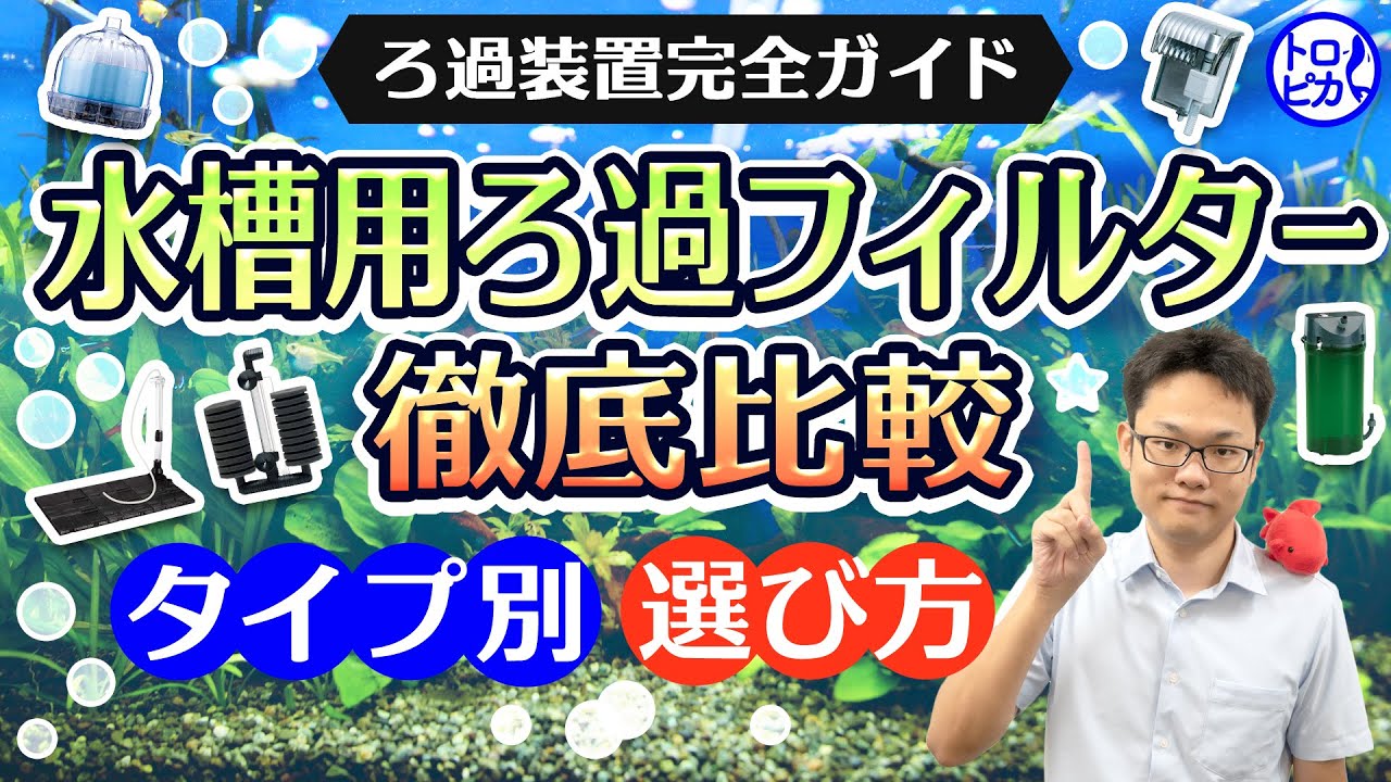 【ろ過装置完全ガイド】水槽用ろ過フィルターを徹底比較！タイプ別でわかるフィルターの選び方